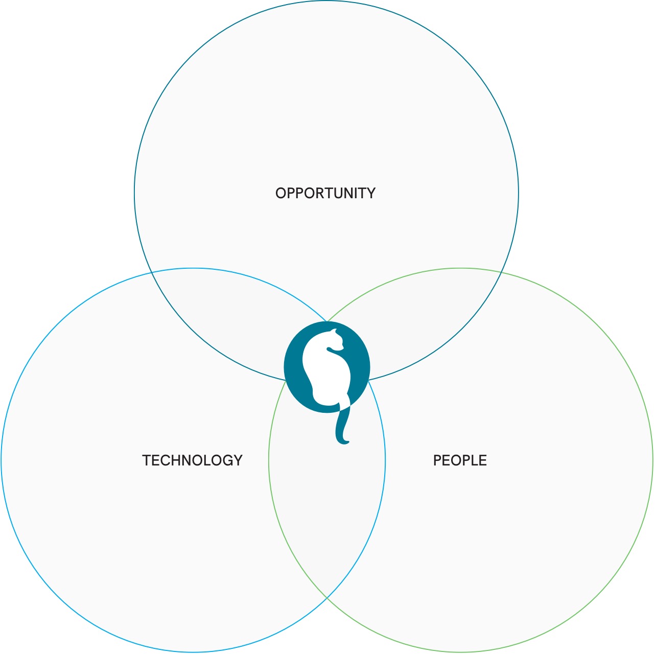 Venn diagram with opportunity, technology, and people intersecting at QVIL.