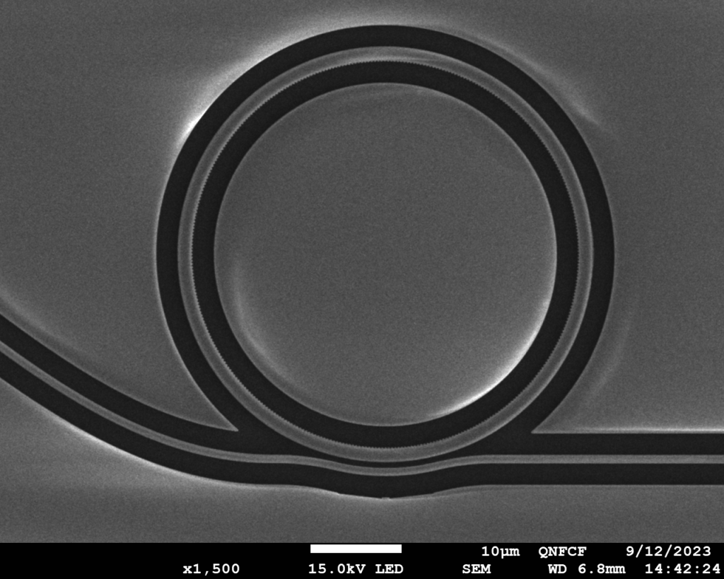 Image à l’échelle micromètre montrant un résonateur à micro-anneau.